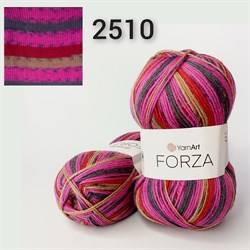 YarnArt FORZA 2510 F2510 - фото 5718