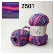 YarnArt FORZA 2501 F2501