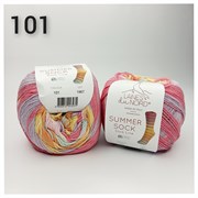 Summer sock 101 ss101