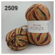 YarnArt FORZA 2509 2193