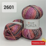 YarnArt FORZA 2601 2213