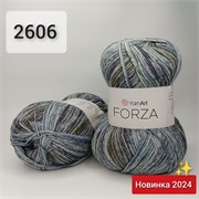 YarnArt FORZA 2606 2218