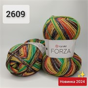 YarnArt FORZA 2609 2221